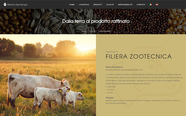 Oleificio_3